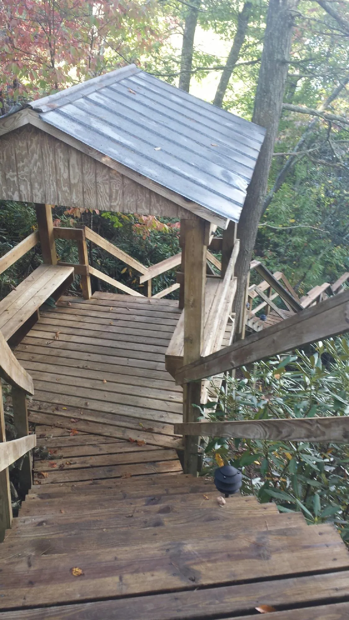 Metal roofed shelter over wooden steps on a wooded walkway — Skylight Repair & Installation work by our crew in Galivants Ferry