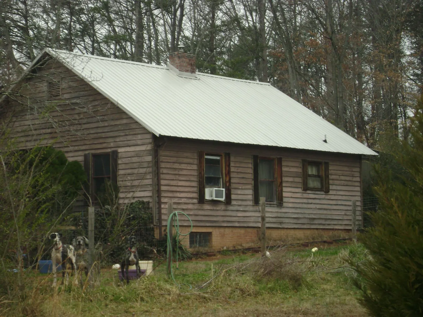 White metal roof on an old wood sided farmhouse, from a Asphalt Shingle Roof Repair job in Galivants Ferry